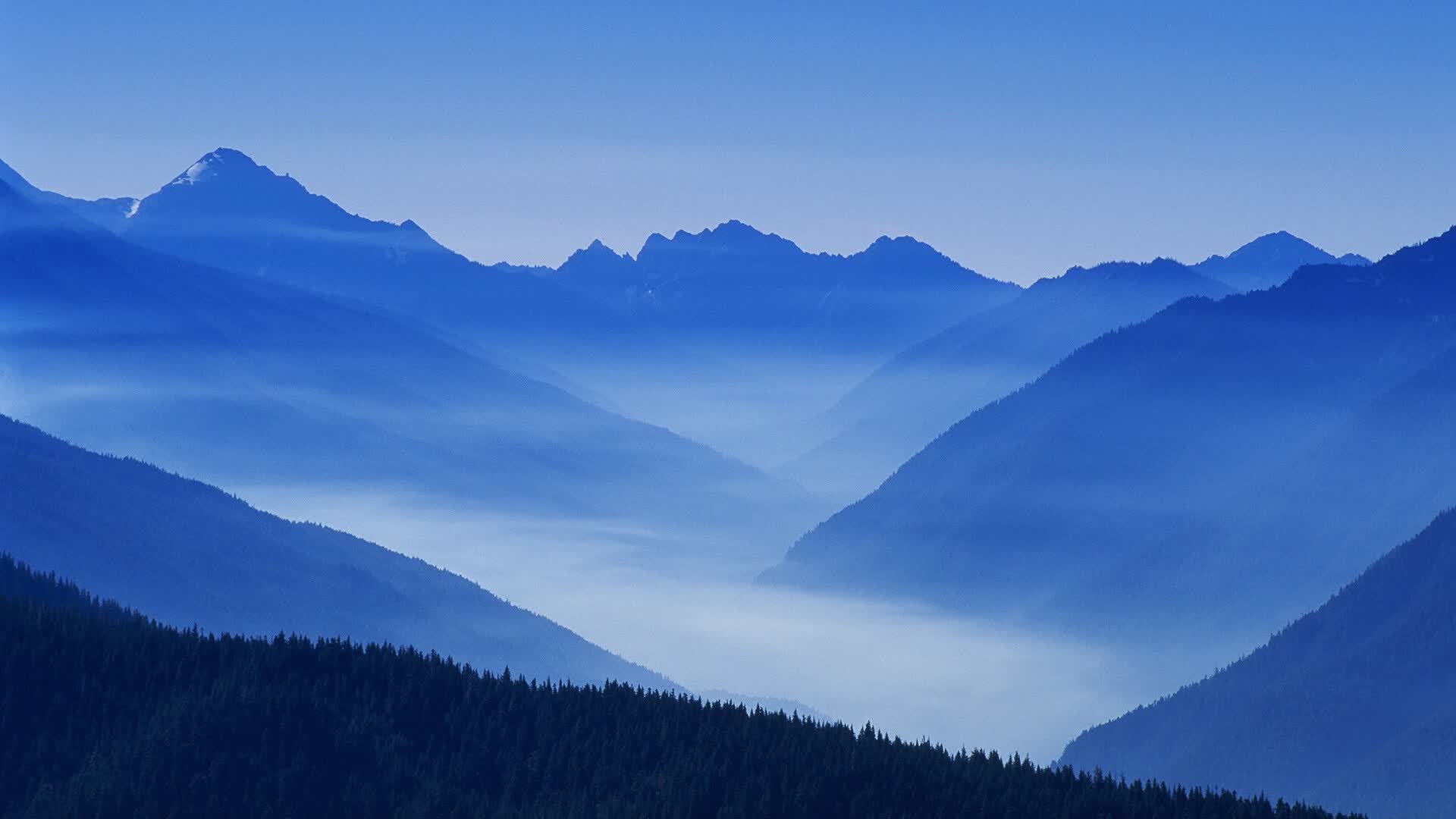 世界举重康复示范基地技术推动计划第二批公示,世界举重比赛
